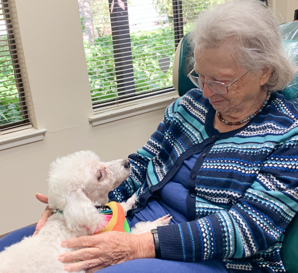Casper the office dog in San Jose California